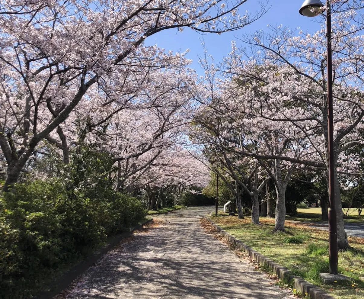多米公園